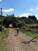 El camino entre Acquapendente y Bolsena.