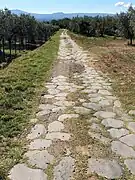 Tramo de la Vía Francígena sobre una calzada romana original.