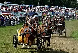 Recreación de carrera de bigas romanas.