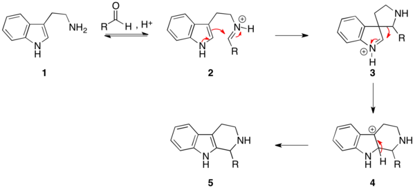 El mecanismo del Pictet-Spengler reacción