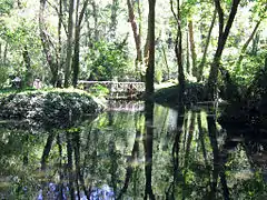 Lago de los Patos