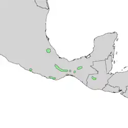 Distribución natural de Pinus chiapensis