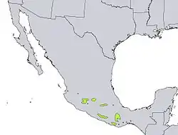 Distribución natural de Pinus lawsonii