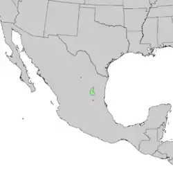 Distribución natural de Pinus nelsonii