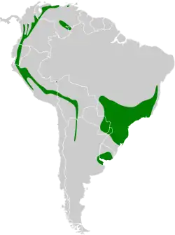 Distribución geográfica de la tangara de antifaz.