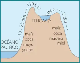 Integración vertical de pisos ecológicos