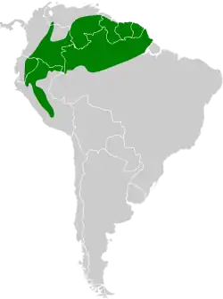 Distribución geográfica del hormiguero cuerniblanco.