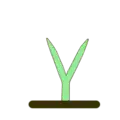 Tricoma con forma de Y.