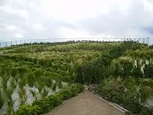 Cima de la estación poblada de vegetación frondosa.