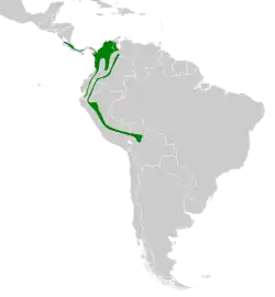 Distribución geográfica del picoplano bigotudo occidental.