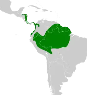 Distribución geográfica del picoplano coronado.