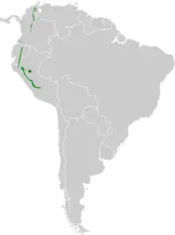Distribución geográfica del picoplano gorgiamarillo.