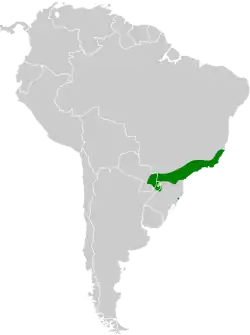 Distribución geográfica del picoplano alirrufo.