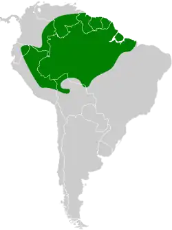 Distribución geográfica del picoplano crestiblanco.
