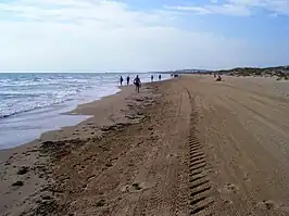 La playa de la Marina