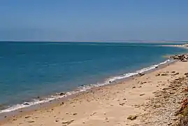 Playa de Montijo.