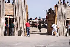 Función de la Cruz y Plaza de Toros de la Empalizada