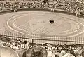 Plaza de toros Monumental de Valencia