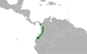 Distribución geográfica de la tangara grisdorada.