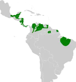 Distribución geográfica del titirijí grís.
