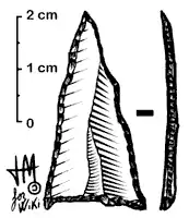 La punta de Tardenois es un microlito típico del Mesolítico.