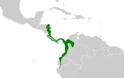 Distribución geográfica del hormiguero dorsicastaño.