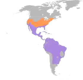 Distribución geográfica de la familia Polioptilidae.