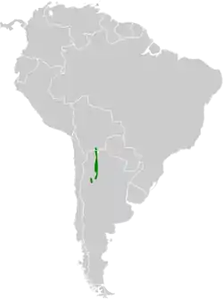 Distribución geográfica de la monterita de Tucumán.