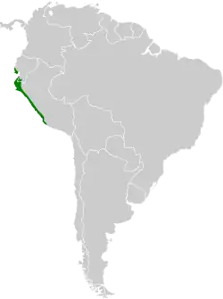 Distribución geográfica de la monterita collareja.