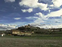 Vista de Pozuel del Campo