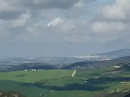 Vista de Montellano desde Prado del Rey.