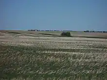 Pradera en Alberta, Canadá.