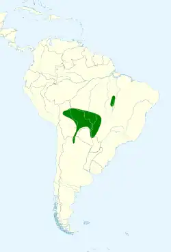Distribución del Primolius auricollis