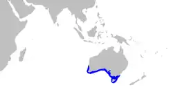 Rango de distribución (en azul)