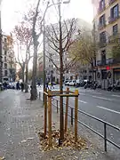 Protector de árbol.