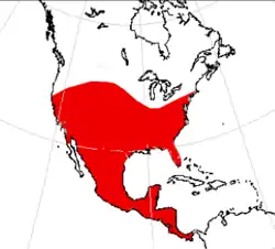 Rango geográfico de Protoceratidae basado en el registro fósil.