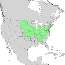 Distribución de Prunus americanaPrunus americana, USDA Plants Database.