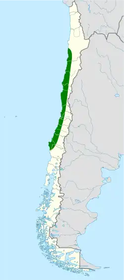 Distribución geográfica del canastero chileno