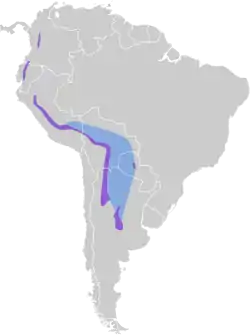 Distribución geográfica del doradito oliváceo.
