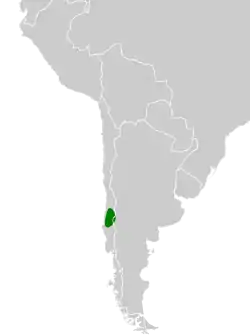 Distribución geográfica del huet-huet gorgicastaño.