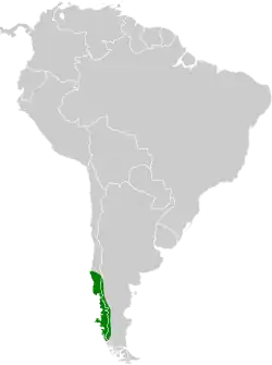 Distribución geográfica del huet-huet gorginegro.