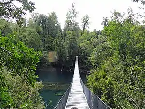 Puente colgante de la reserva