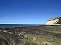 Rocas con mejillones en marea baja.