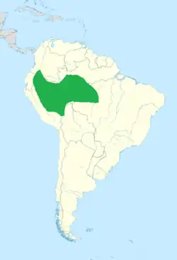 Distribución geográfica del cotinga gorgimorado.