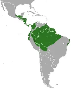 Distribución de C. didactylus