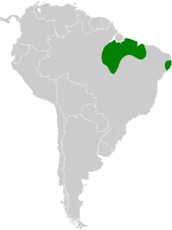Distribución geográfica del ojodefuego dorsiblanco.