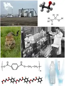 Ciencia que estudia la estructura, propiedades físicas, la reactividad y transformación de los compuestos orgánicos.