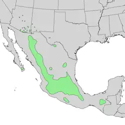 Distribución natural de Quercus rugosa