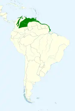 alt=
     Distribución continental del zanate caribeño.