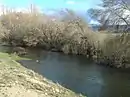 Riberas del río Adaja y afluentes